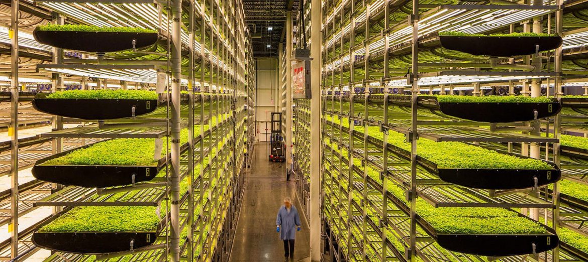 dikey-tarim-katli-tarim-vertical-farming-1