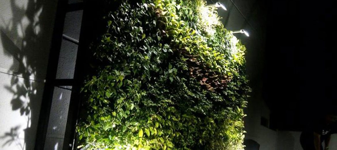 dis-mekan-peyzaj-growlight-1